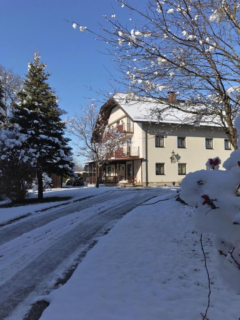 Pension Sommerauer Hallein Exterior photo